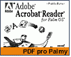 Palm PDF