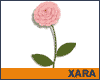 Xara květina tutorial
