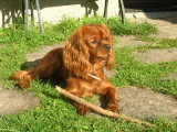 dscn1076.jpg