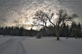 img_8578-(2)_hdr.jpg