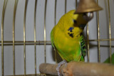 dsc_0007.jpg
