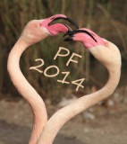 pf.jpg