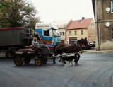 kopie---dsc06203.jpg