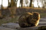 dsc_0134-kopie.jpg