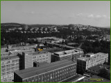 dscf9608.jpg