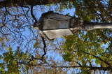 dsc_0046.jpg