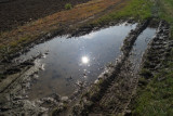 dsc00101.jpg