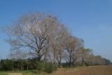 dsc00129.jpg