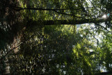 dsc00172.jpg