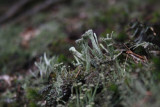 _mg_1867.jpg