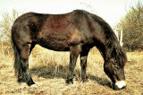_fmp9414.jpg