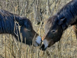_fmp9435.jpg