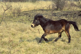 _fmp9680.jpg