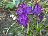 img_0035.jpg