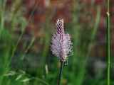 img_1530.jpg