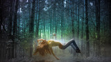 wallpap-forest-fantasyd.jpg