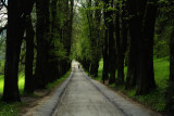 dsc_5975.jpg