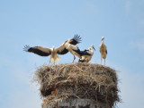 dsc_0076.jpg
