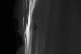 dsc_0046.jpg