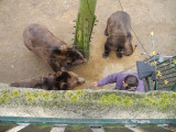 dscn2691.jpg
