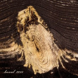 kd.140-sovicka-p.jpg
