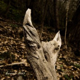 kd.317-vidlak.jpg