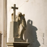 kan.477-stin-andela--p.jpg