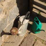 kan.317-nevlastni-sourozenci--p.jpg