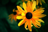 img_5767.jpg