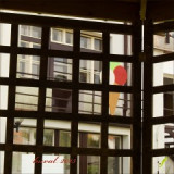 kan.354-zmrzlina-p.jpg