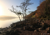 svitani-u-loch-ness_lm.jpg