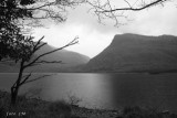loch-meree_lm.jpg