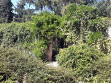 2016.08.18---petrinska_zahrada-17.jpg