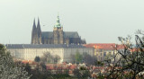 2017.04.05-petrin-91-ok.jpg