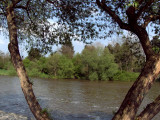 17.05.06-u_berounky-art-1.jpg