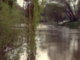 17.05.06-u_berounky-art-34.jpg