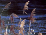 17.05.06-u_berounky-art-85.jpg