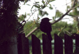 2017.05.11-u_berounky-4.jpg
