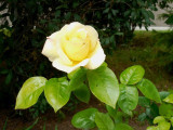 dscn2851.jpg