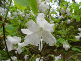 dscn0108.jpg