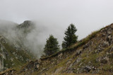 img_8275.jpg