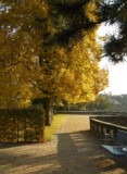 dscn9026.jpg