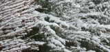 dscn0648.jpg