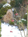 dscn8363.jpg