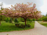 dscn9878.jpg