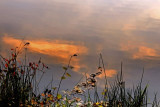 dsc_3938-ps-filtr.jpg