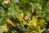 dsc_3951.jpg