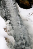 dsc_1587-ps.jpg