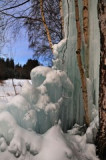 dsc_4915-ps-–-kopie.jpg