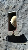 zoo08.jpg